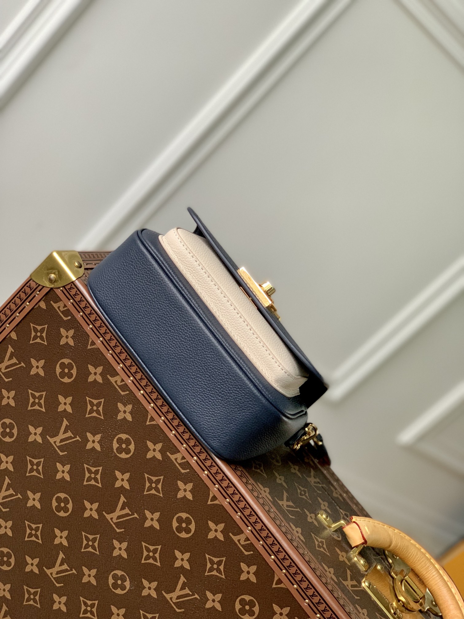 LV Satchel bags